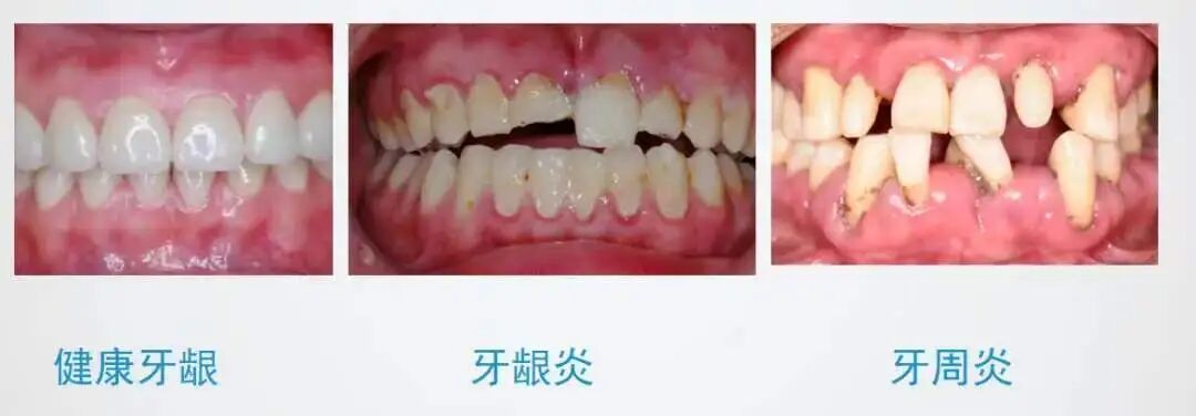 0835cb5f19aed416563296627b1a16b5.jpg