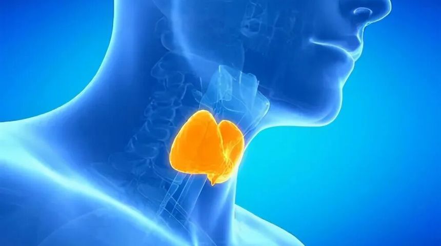 【健康科普】生气真的会得甲状腺结节吗？