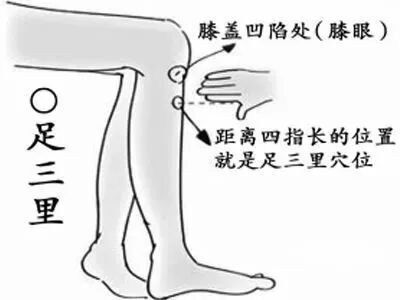 巧用足三里,养生治病两不误!!__凤凰网